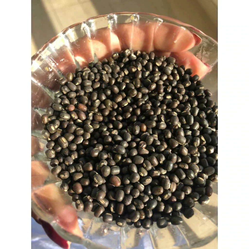 Balaayah Black Gram Booster: Un Ayurvedic olio corpo intenso che idrata la pelle secca - Image 14