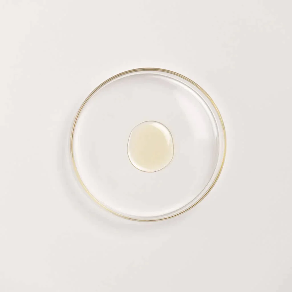 The Ayurveda Experience - Combinazione premium-bestseller - Image 9
