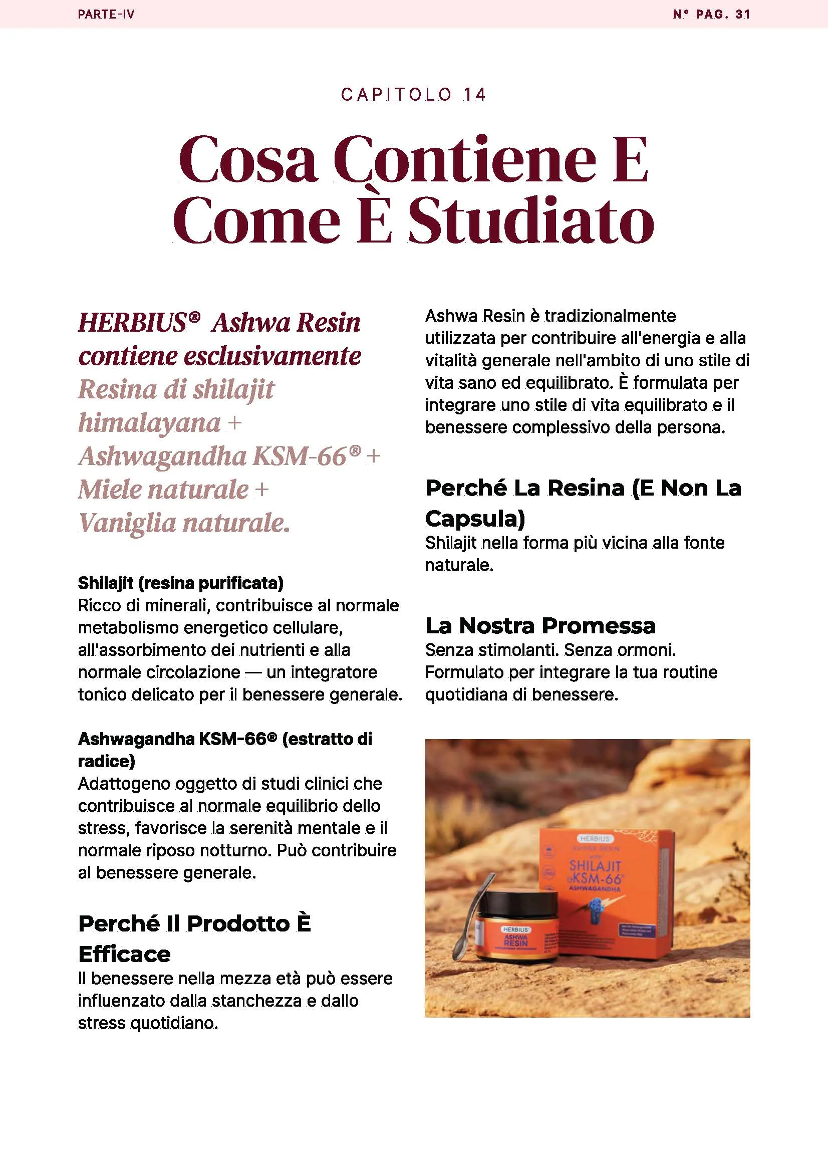 L'eBook "The Spark Ritual": Una guida di 30 giorni per vitalità, energia e fiducia Ashwa Resin - Image 6